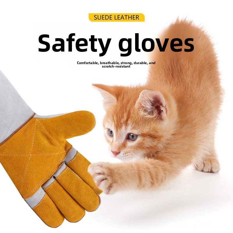 Guanti Protettivi Anti-Morso p - Leatherwork Training recensione e prezzo