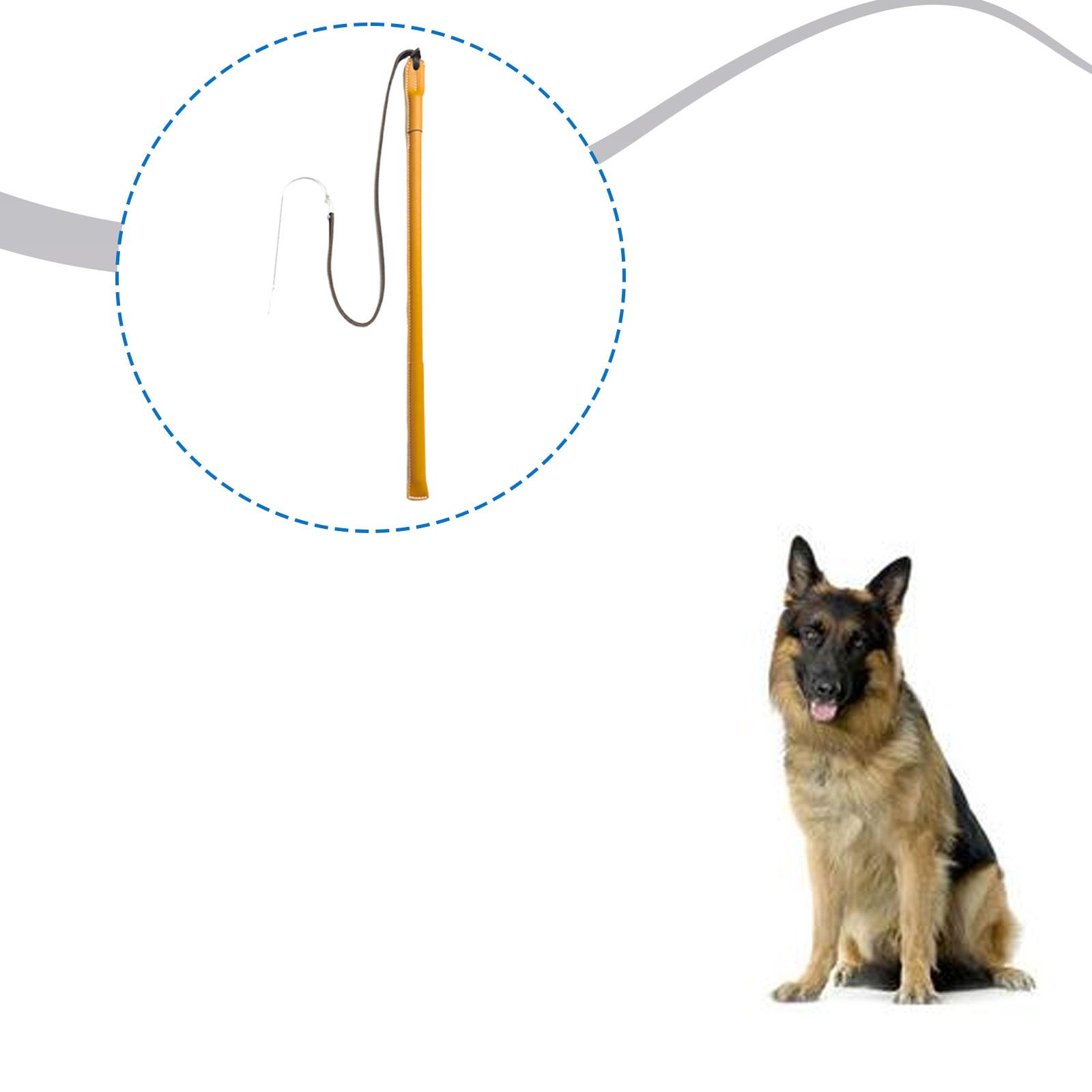 Frusta per Addestramento Cani  - Leatherwork Training recensione e prezzo